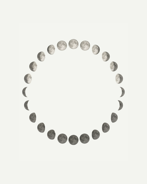 What Happens to Us During a Full Moon?