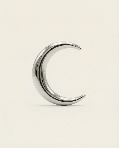 Moon Earrings