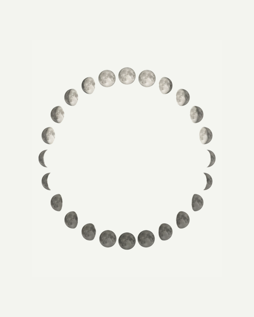 What Happens to Us During a Full Moon?